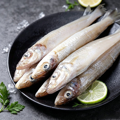 Small Sea Fish